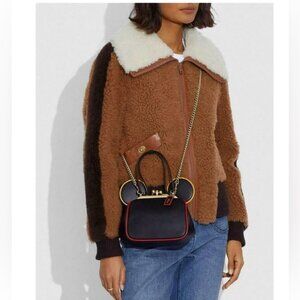Coach x Keith Haring x Disney purse